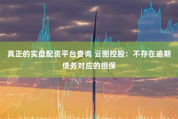 真正的实盘配资平台查询 云图控股：不存在逾期债务对应的担保